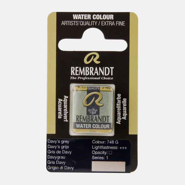 Tinta Aquarela em Pastilha Rembrandt 748 Davy’s grey